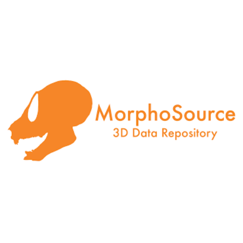 An introduction to the MorphoSource platform